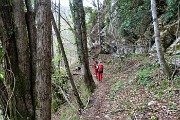 24 Scendendo nel bosco 'Passione' con rocce inclinate da stratificazioni geologiche 